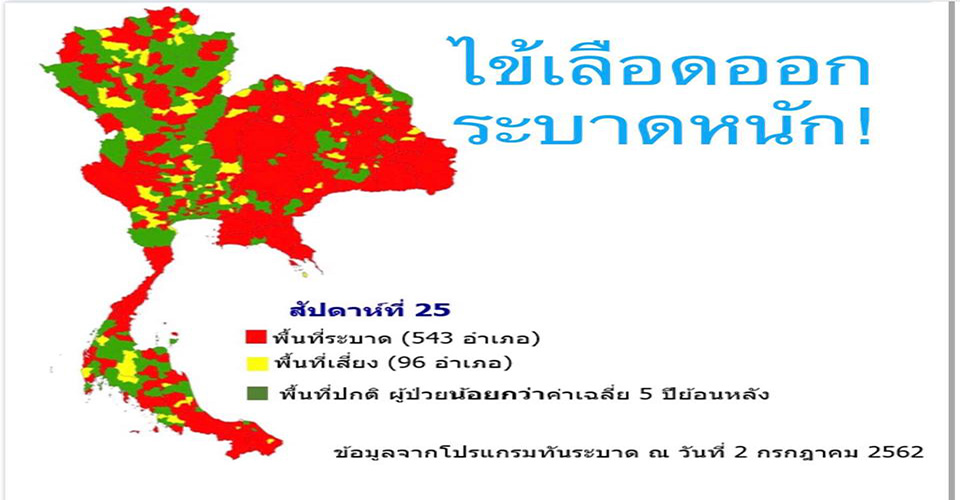 โรคไข้เลือดออก (dengue hemorrhagic fever)