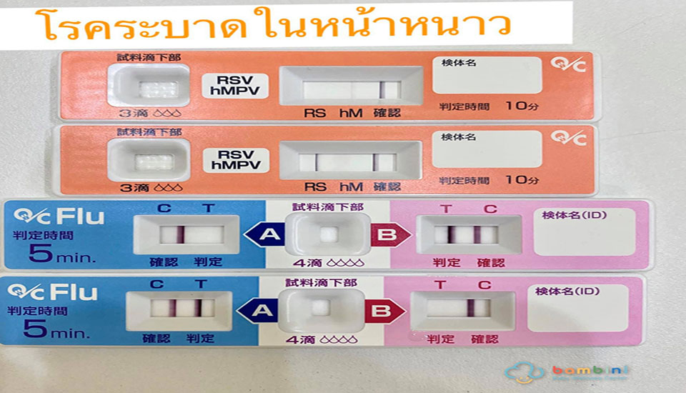 โรคระบาดในหน้าหนาว