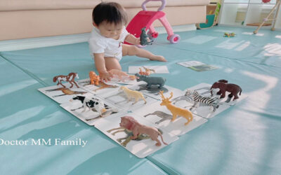 ไอเดียการเล่น Flash card DIY