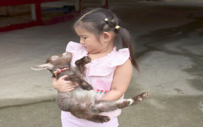 อย่าเลี้ยงลูกแบบนี้