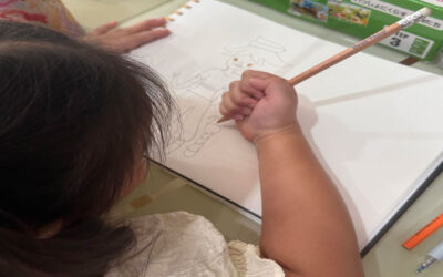 เคล็ดลับการเลี้ยงลูก ให้ พัฒนาดี  สมาธิดี