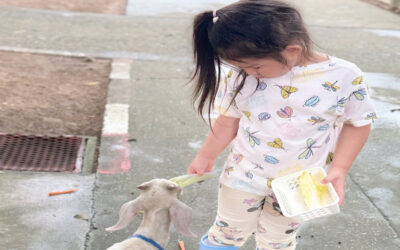 3 สิ่ง …ที่ลูกห้ามทำ