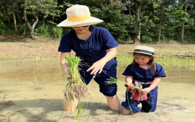 ชีวิตลูกมีอะไรให้สอน มากกว่า วิชาการ …