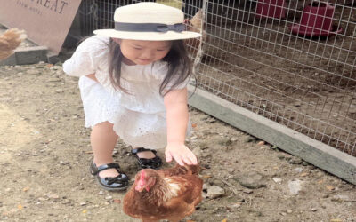 ทำอย่างไรเมื่อ ลูกงอแง โวยวาย อาละวาด