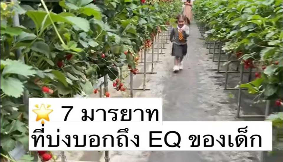 7 มารยาทที่บ่งบอกถึง EQ ของเด็ก